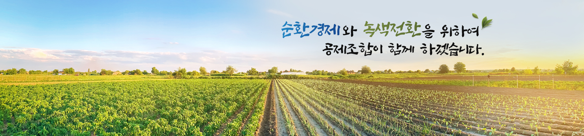 메인배너2